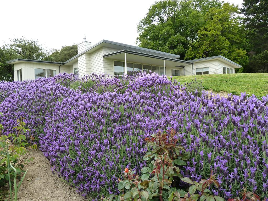 L'Abri Bed And Breakfast 아카로아 객실 사진
